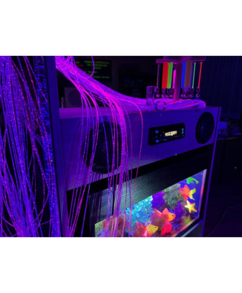 Mobilna mini sala Doświadczania Świata (wersja rozszerzona)